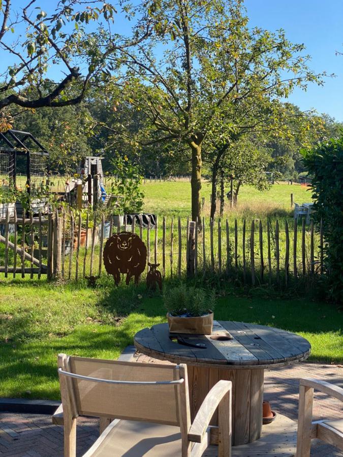B&B Het Zwarte Schaap Albergen ภายนอก รูปภาพ